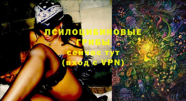 хмурый Верхний Тагил