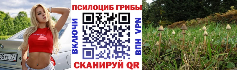 Галлюциногенные грибы ЛСД  Новоржев 