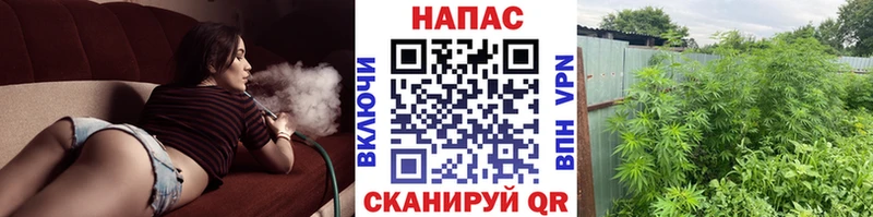 Бошки марихуана White Widow площадка как зайти Новоржев